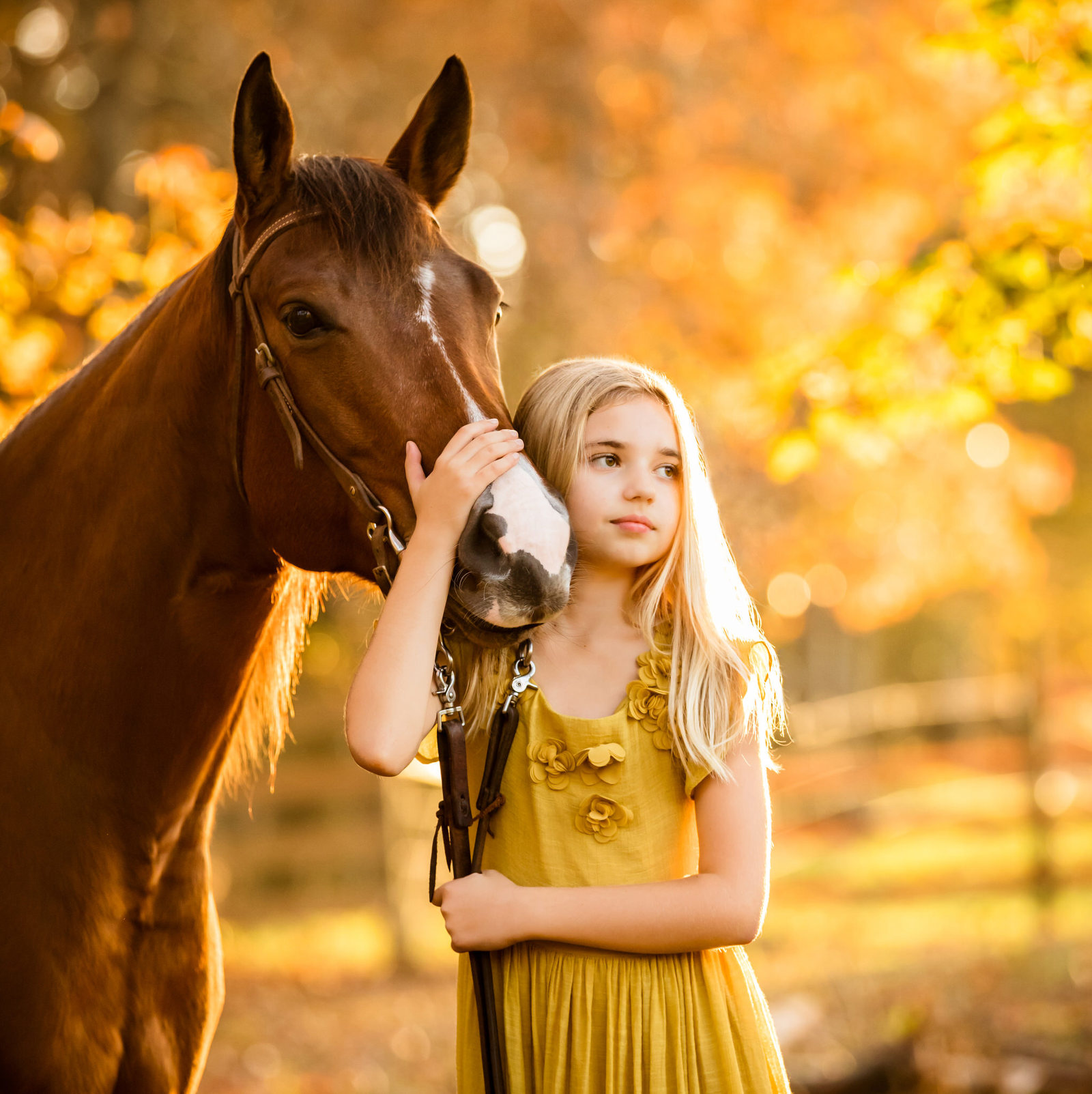 blond girl horse fall colors yellow dress