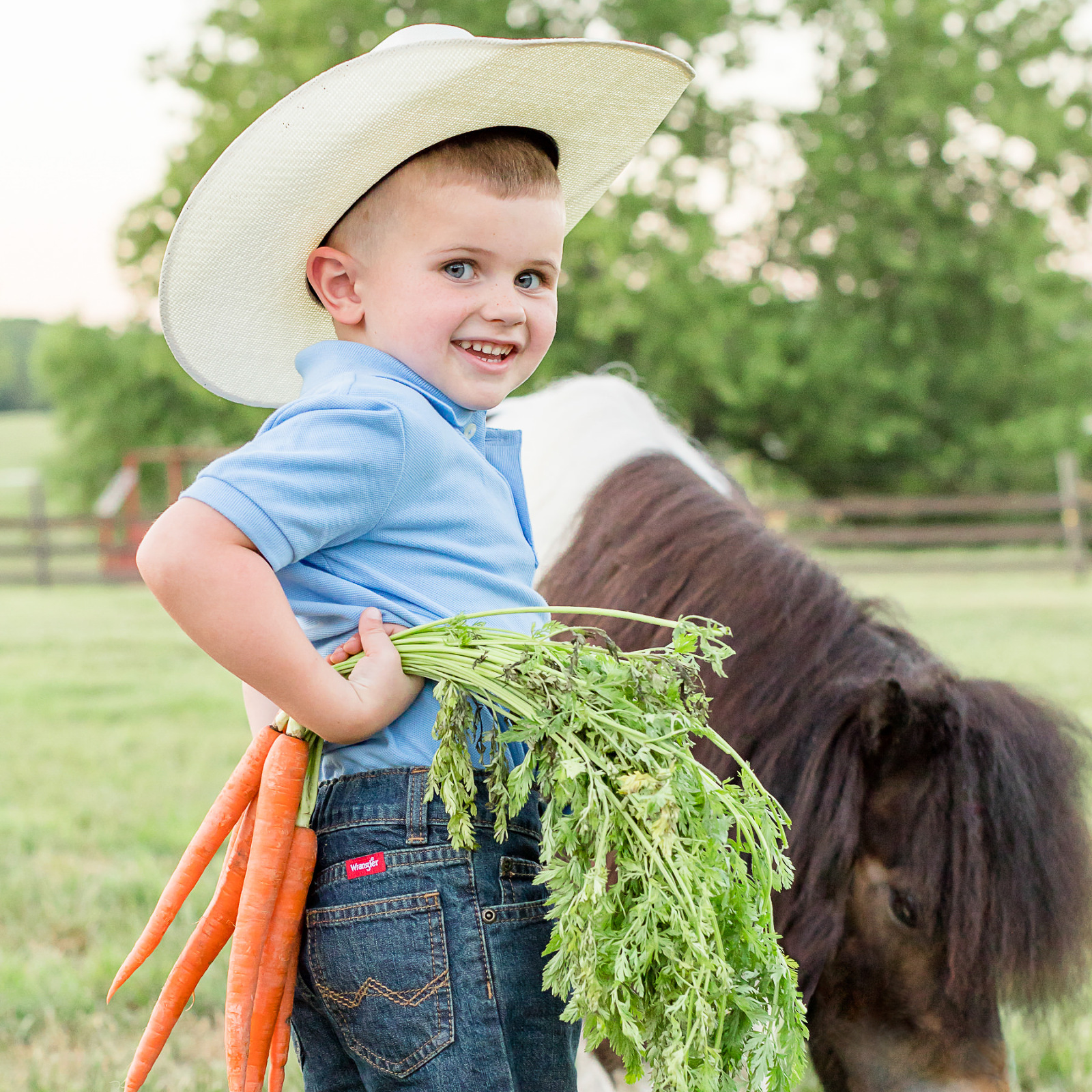 little buckaroo cowboy with hat mini paint horse carrots