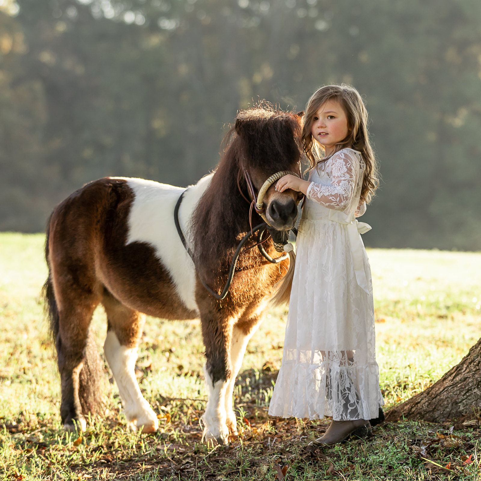 little girl with mini horse paint pony whites dress