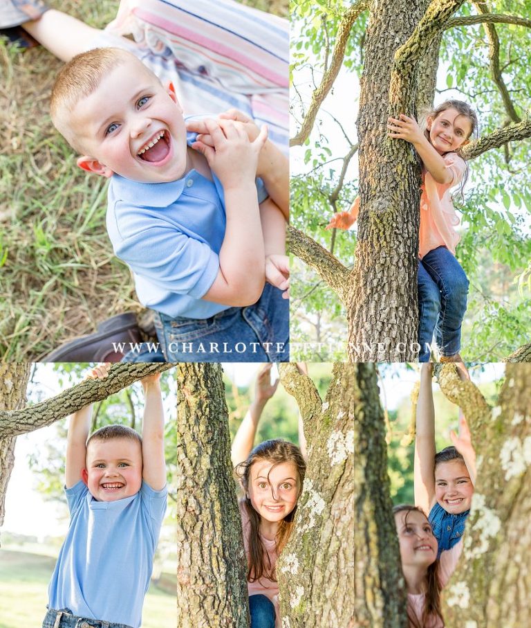 kids playing in a tree