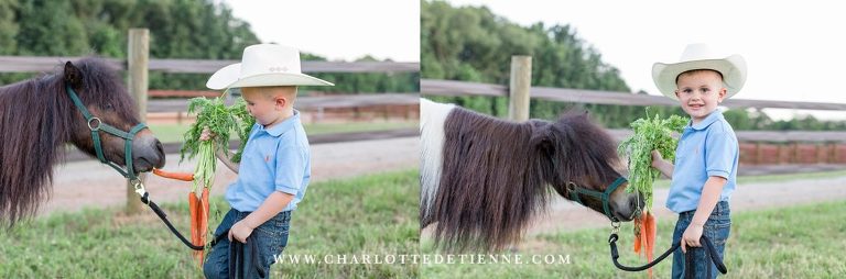 little boy in blue feeds mini horse pony