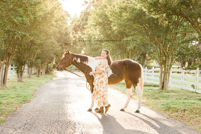 Horse and Rider Portraits