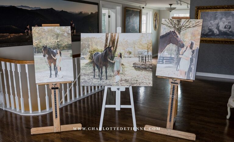 Georgia equestrian artistry: Gallery-worthy triptych display of wrapped photo canvases celebrating the vibrant and enchanting portraits of a rider and her show horse.