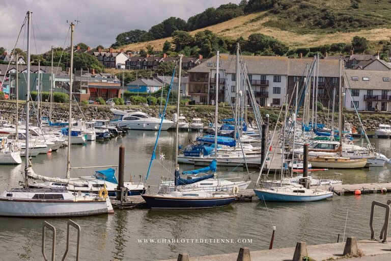A group of boats docked in a harbor.