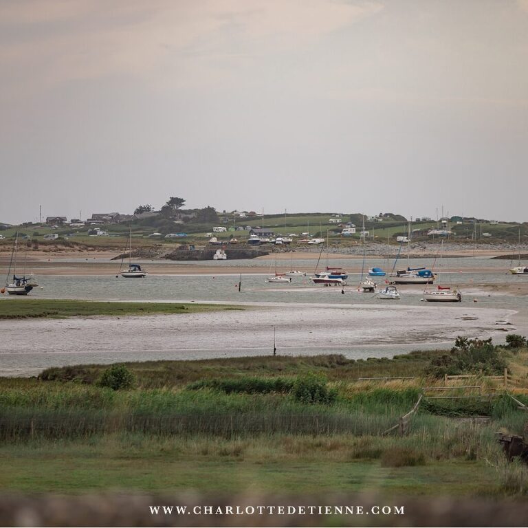 A group of boats in a body of water.