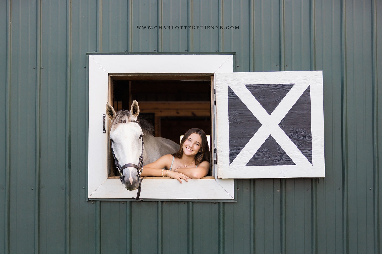 girl in blue dress leaning out of barn window with grey horse