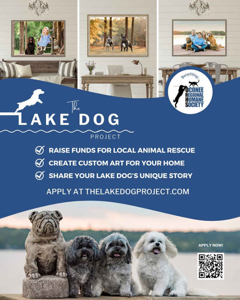 A flyer for the lake dog rescue.