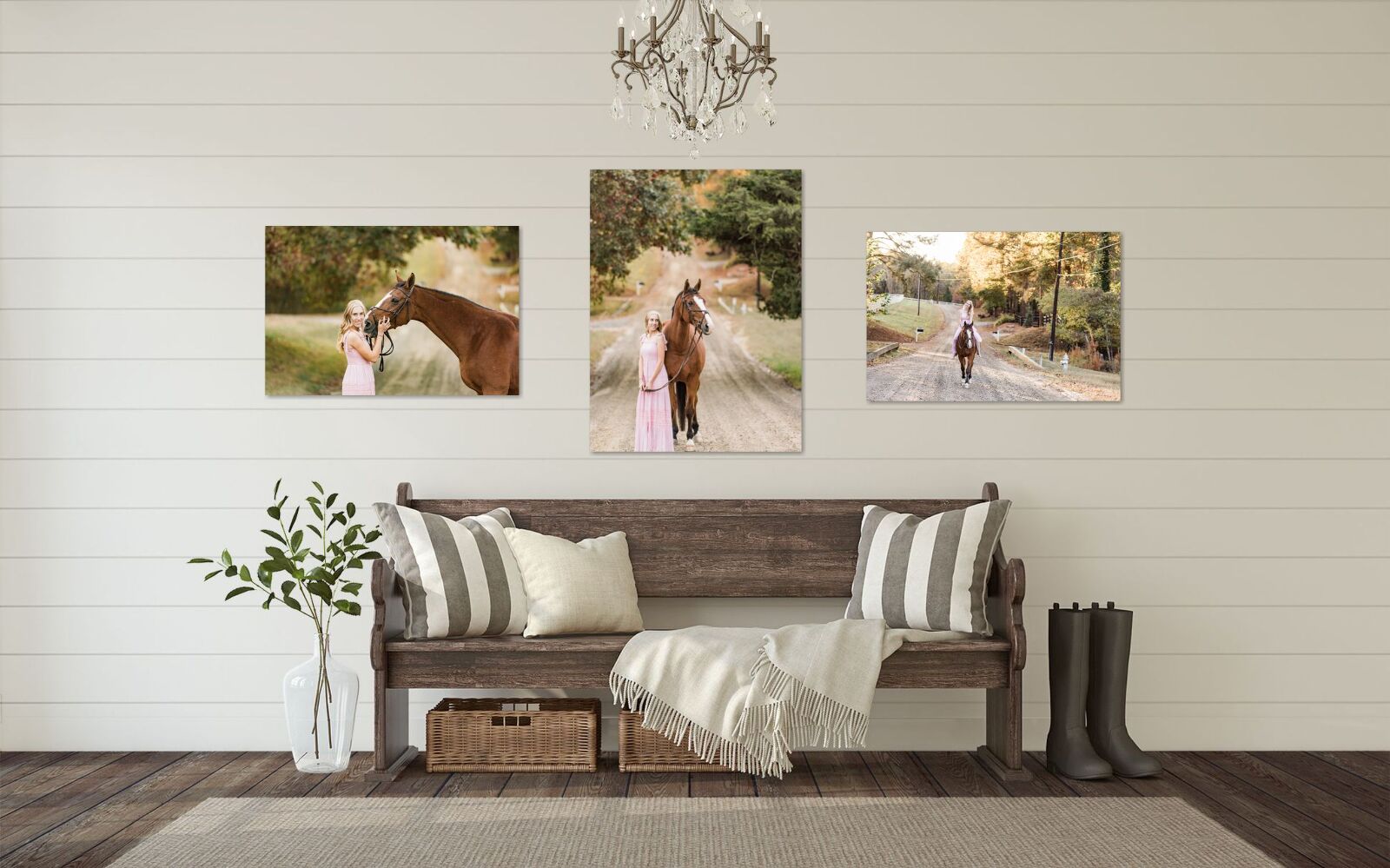 Three horse portraits hanging on a bench in a room.