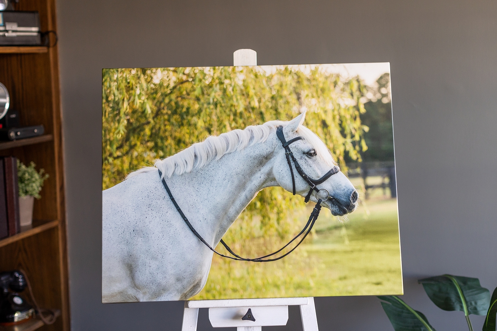 A canvas print of a white horse displayed on an easel against a blurred indoor background.