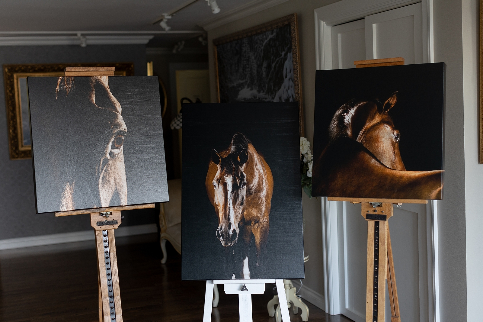 Three horse portrait paintings displayed on easels in an indoor setting.